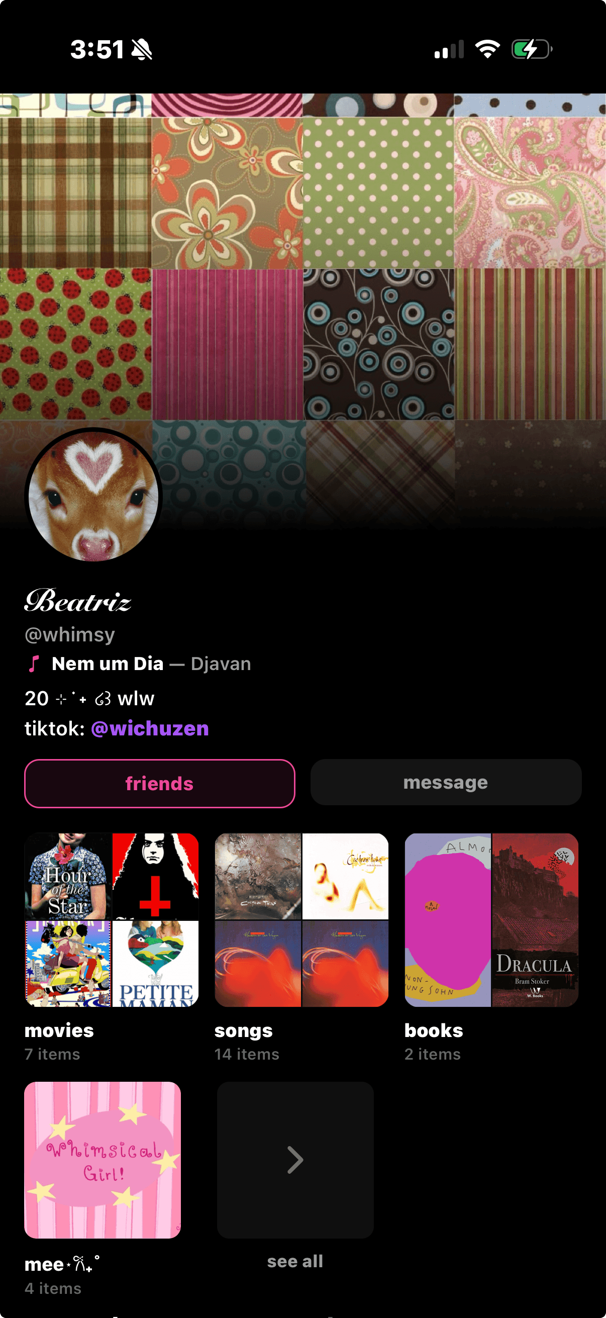 Beatriz's Sharespot profile with a patterned header.